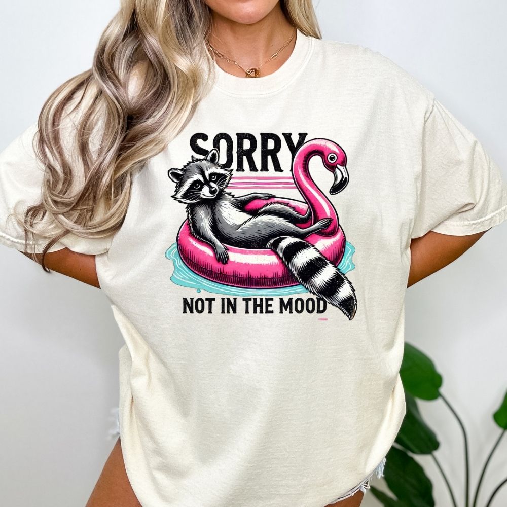 Sorry Not In The Mood