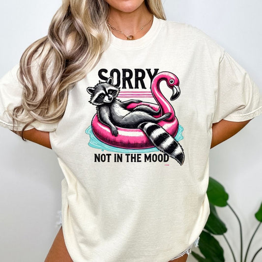 Sorry Not In The Mood