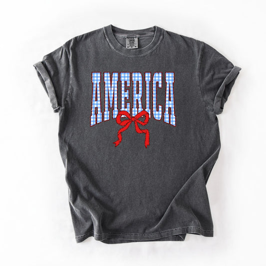America Bow Sparkle Blue Plaid