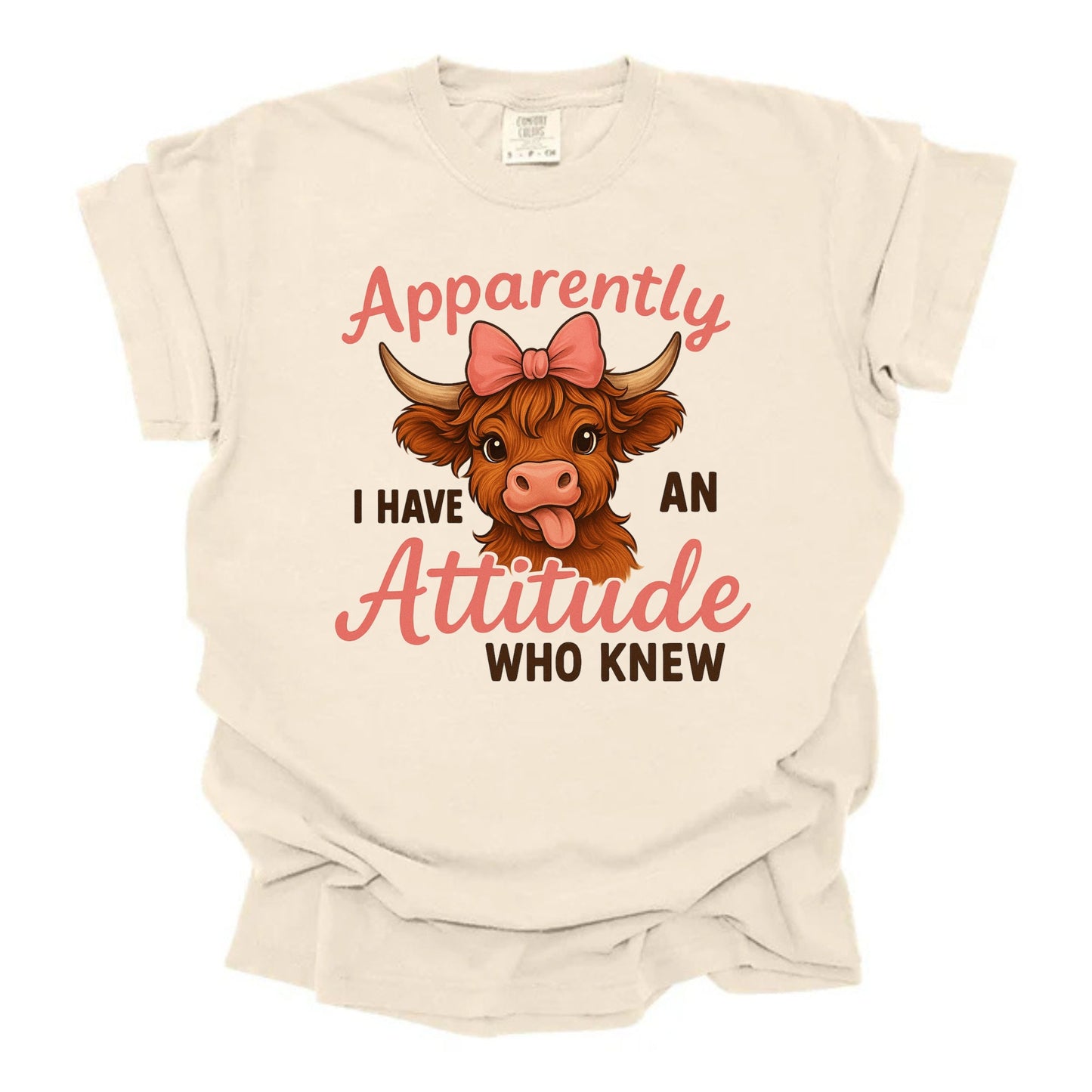 An Attitude