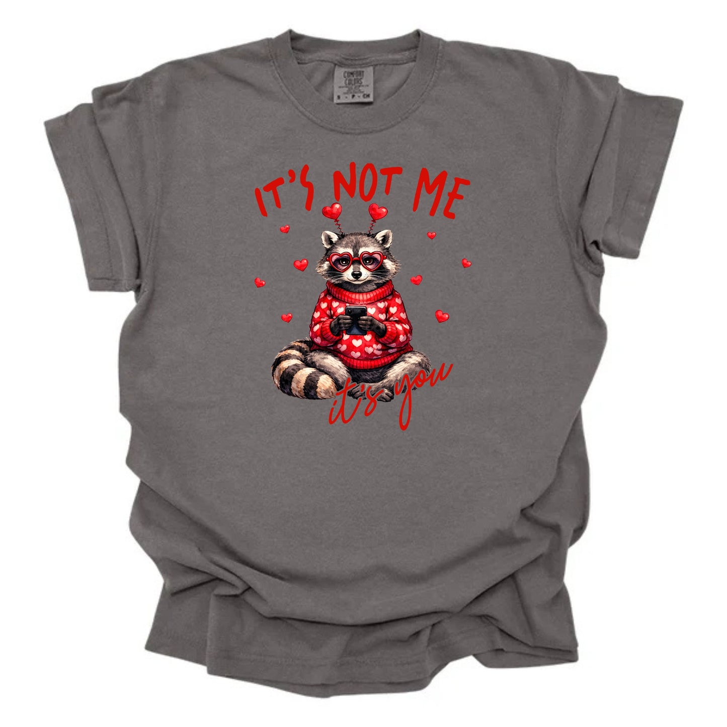 It's You Raccoon